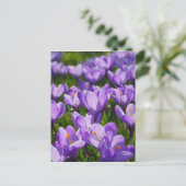 Carte postale de Pâques au crocus violet (Debout devant)