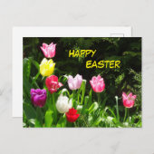 Carte postale de Pâques aux Tulipes colorées (Devant / Derrière)