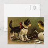 Carte postale de Pâques de chaton et de poussin (Devant / Derrière)