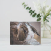 Carte postale de Pâques de lapin mignon (Debout devant)