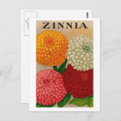 Carte postale de paquet de graines de zinnia vinta (Devant / Derrière)