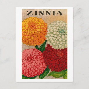 Carte postale de paquet de graines de zinnia vinta