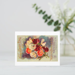 Carte postale de paquets de semences.