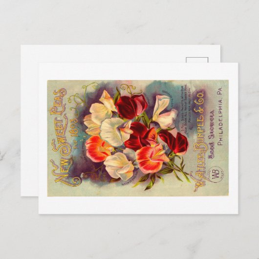 Carte postale de paquets de semences. (Devant / Derrière)