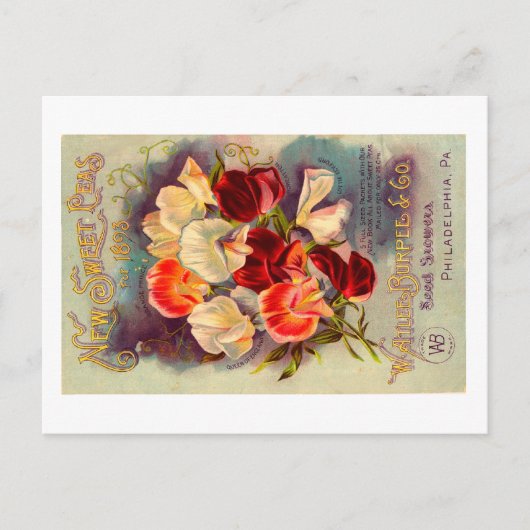 Carte postale de paquets de semences. (Devant)