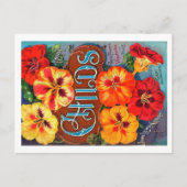 Carte postale de paquets de semences. (Devant)