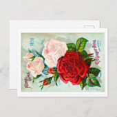 Carte postale de paquets de semences. (Devant / Derrière)