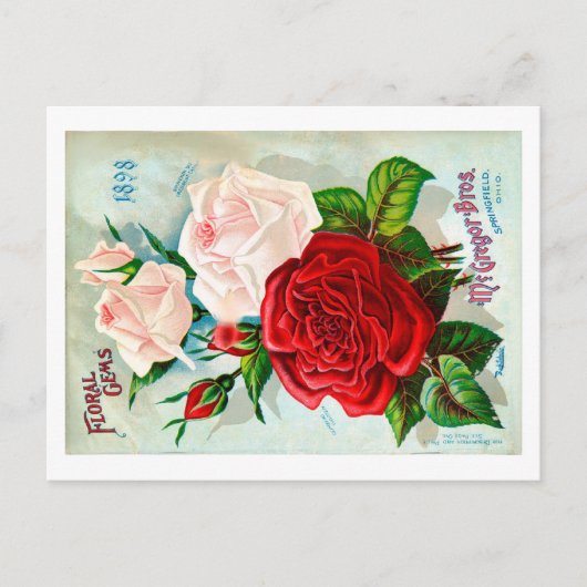 Carte postale de paquets de semences. (Devant)