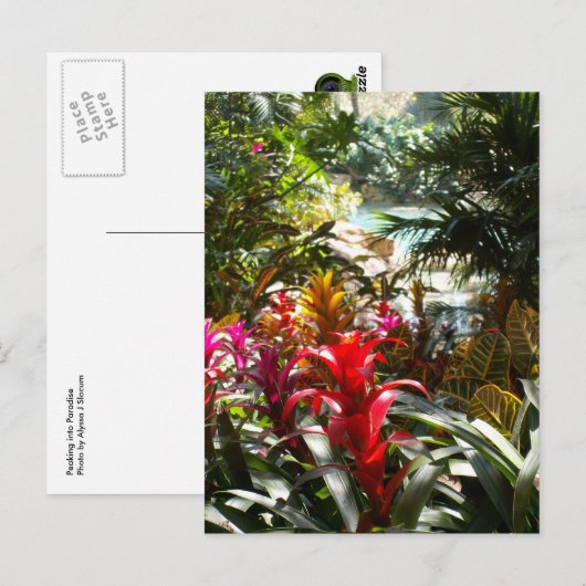 Carte postale de paradis (Devant / Derrière)