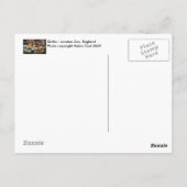 Carte postale de paresseux (Dos)