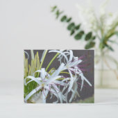 Carte postale de parfum floral (Debout devant)