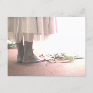 Carte postale de passage de Saint-Siège