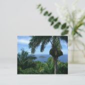 Carte postale de paumes (Debout devant)