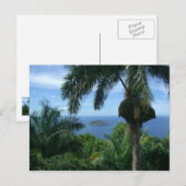 Carte postale de paumes (Devant / Derrière)