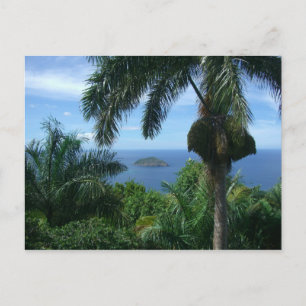 Carte postale de paumes