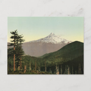 Carte postale de paysage américain vintage