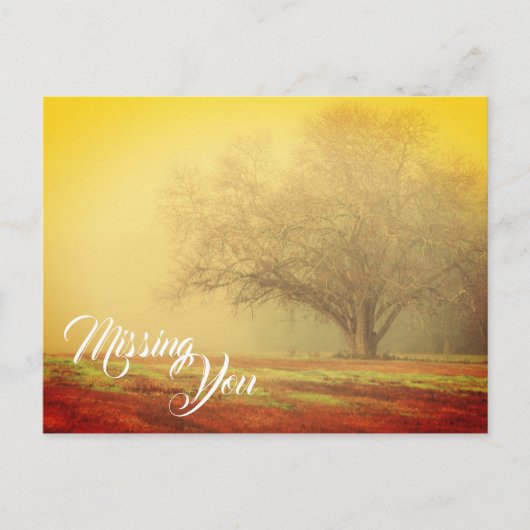 Carte postale de paysage Vous manquant (Devant)