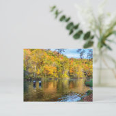 Carte postale de pêche automnale de Bennett Spring (Debout devant)