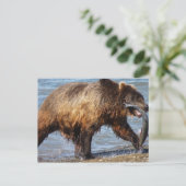 Carte postale de pêche de l'ours (Debout devant)