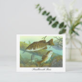 Carte postale de peinture d'achigan à petite bouch (Debout devant)