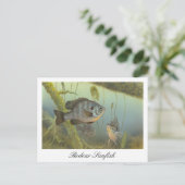 Carte postale de peinture de poisson-soleil de Rec (Debout devant)
