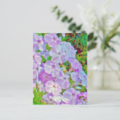 CARTE POSTALE DE PEINTURE PHLOX (Debout devant)