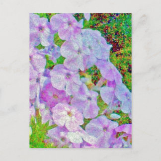 CARTE POSTALE DE PEINTURE PHLOX