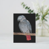Carte postale de perroquet agaçant (Debout devant)