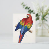 Carte postale de perroquet tropical (Debout devant)
