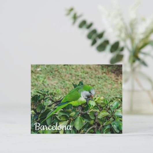 Carte postale de perroquet vert (Debout devant)