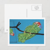 carte postale de perroquet vert (Devant / Derrière)