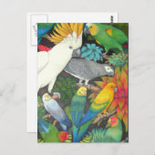 Carte postale de perroquets et broméliades tropica (Devant / Derrière)