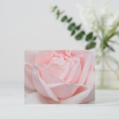 Carte postale de pétales de rose (Debout devant)