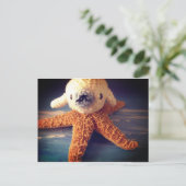 Carte postale de phoque bébé (Debout devant)