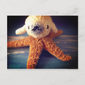 Carte postale de phoque bébé (Devant)