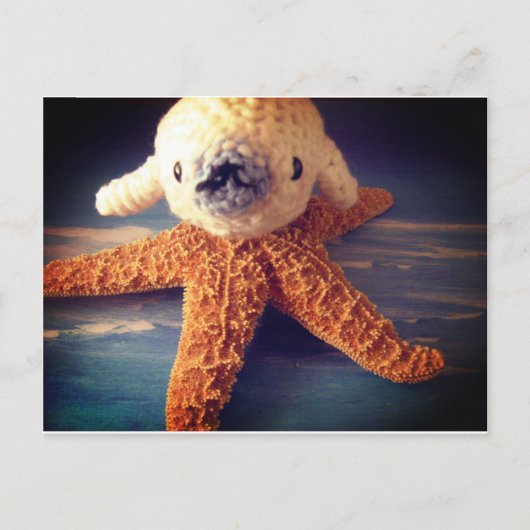 Carte postale de phoque bébé (Devant)