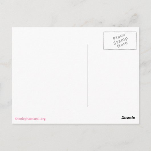 Carte postale de phoque éléphant rose (Dos)