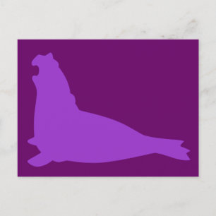 Carte postale de phoque éléphant violet