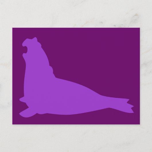 Carte postale de phoque éléphant violet (Devant)