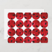 Carte postale de photo de cercle (Devant / Derrière)