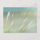 Carte postale de photographie abstraite (Devant)