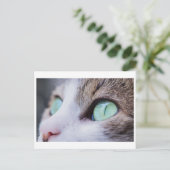 CARTE POSTALE DE PHOTOGRAPHIE DE CAT À YEUX VERT (Debout devant)