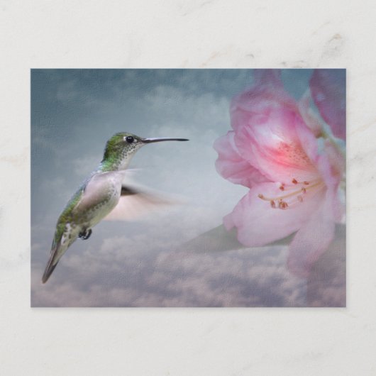 Carte postale de Picaflores (Devant)