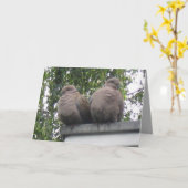Carte postale de pigeons (Fleur jaune)