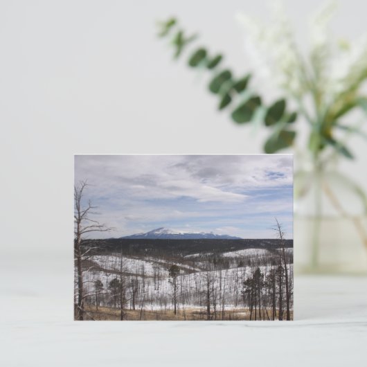 Carte postale de Pike's Peak (Debout devant)