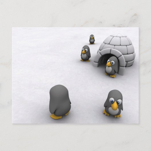 Carte postale de pingouin (Devant)