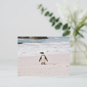 Carte postale de pingouin africain (Debout devant)