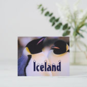 Carte postale de pingouins de l'Arctique islandais (Debout devant)