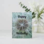 Carte postale de pissenlit blanc (Debout devant)