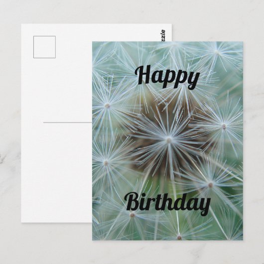 Carte postale de pissenlit blanc (Devant / Derrière)